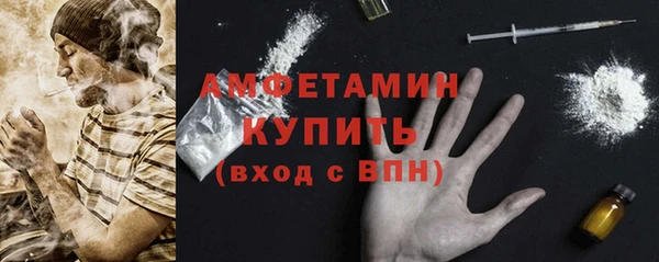 стаф Белокуриха