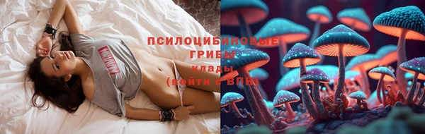 стаф Белокуриха