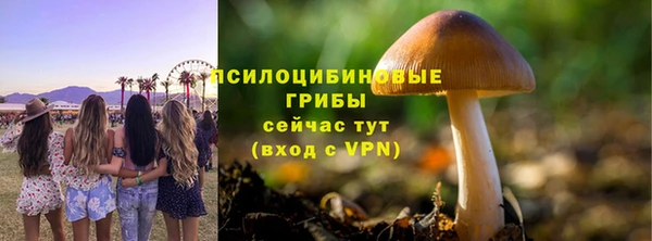 стаф Белокуриха