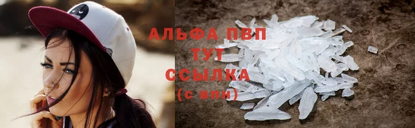 стаф Белокуриха