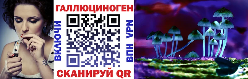 Галлюциногенные грибы Psilocybe  Белоусово 